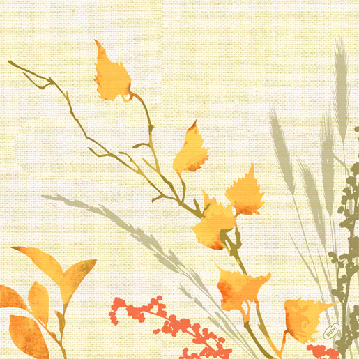 Dunisoft® Serviette Beauty 40x40cm 1/4 Falzung