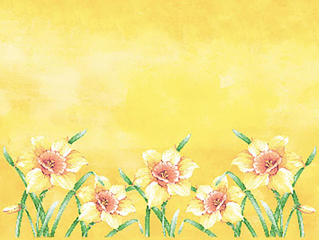 Linclass-Premium Tischsets  Elvira 40 x 30 cm