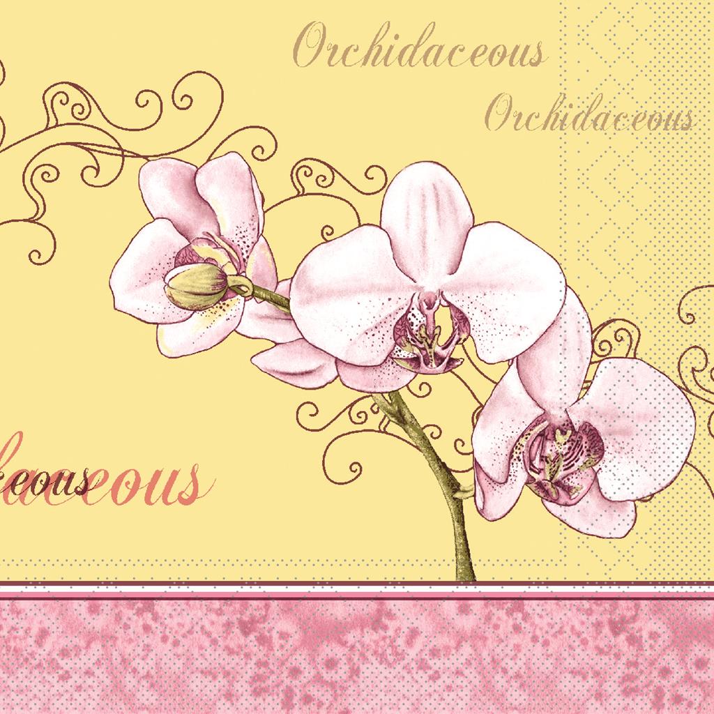 Tissue 3-lg Serviette Orchidee 40 x 40 cm 1/4 Falz