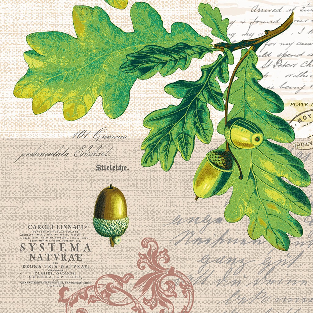 Linclass Serviette Simon 40 x 40 cm 1/4 Falz