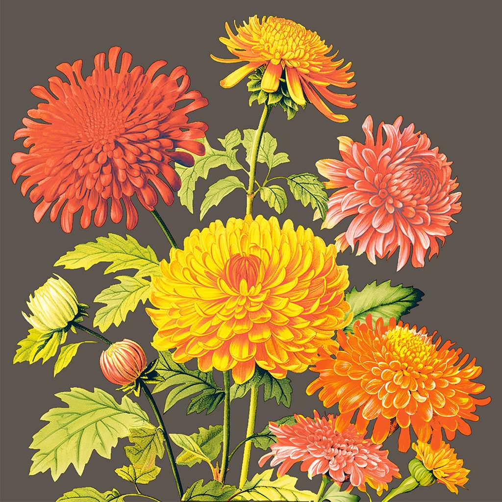 Linclass Serviette Amara 40 x 40 cm 1/4 Falz