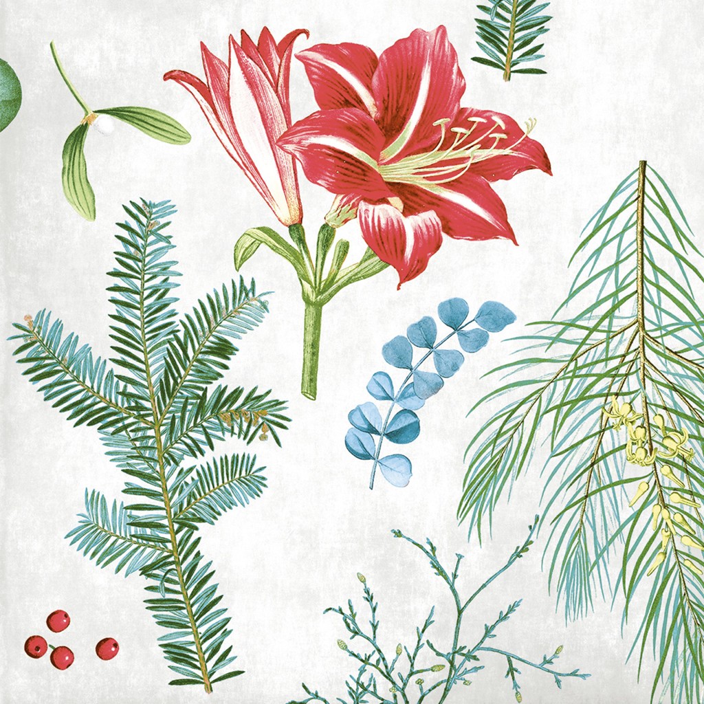 Linclass-Premium Serviette Amaryllis 40 x 40 cm 1/4 Falz