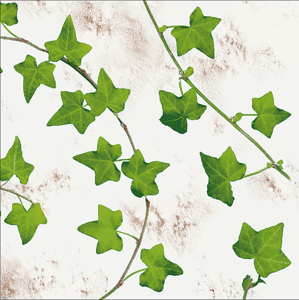 Linclass Serviette Efeuranken 40 x 40 cm 1/4 Falz