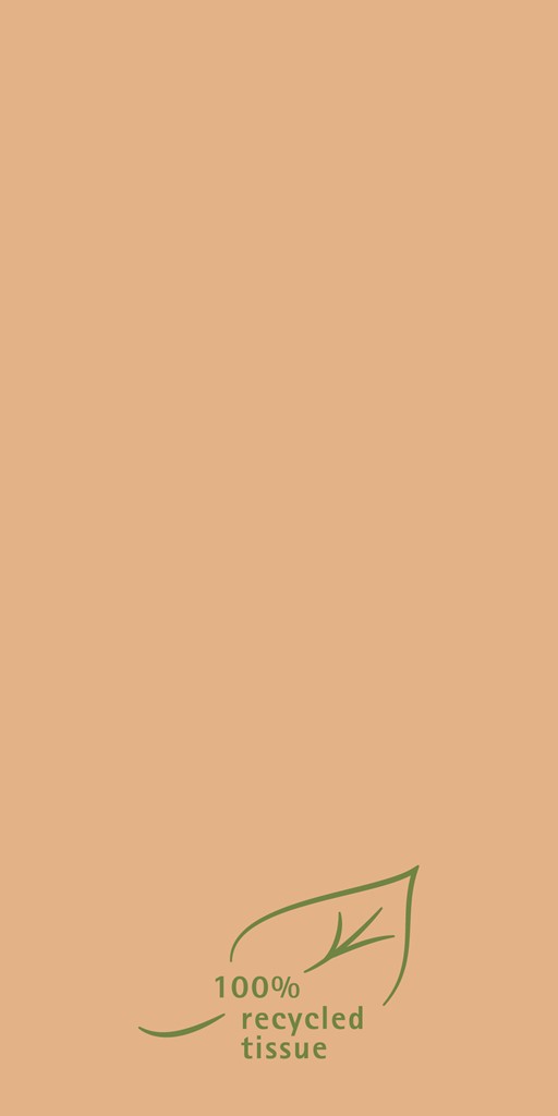 R.-Softpoint Serviette Recycled Tissue 40 x 40 cm 1/8 Falz