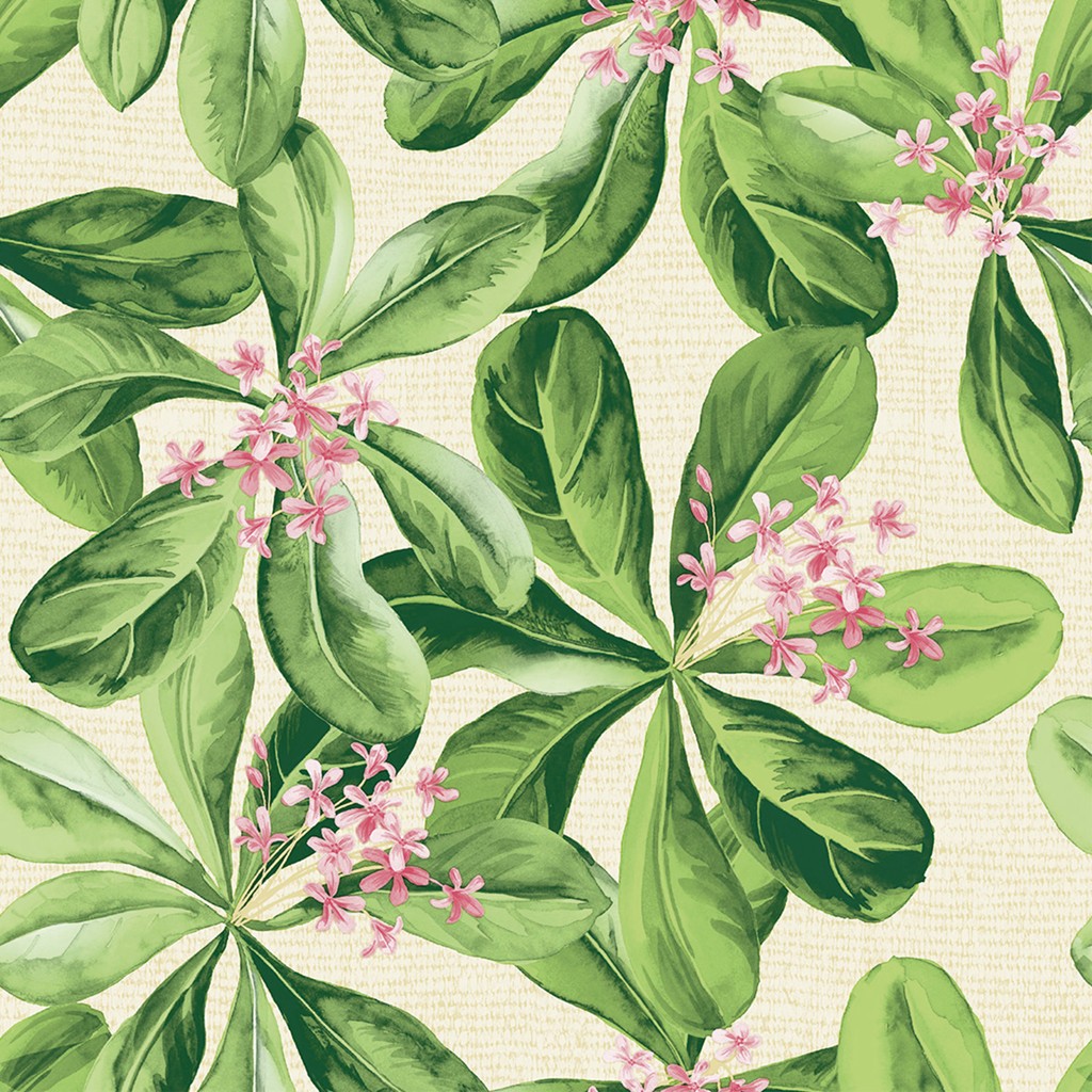 Linclass Serviette Jane 40 x 40 cm 1/4 Falz