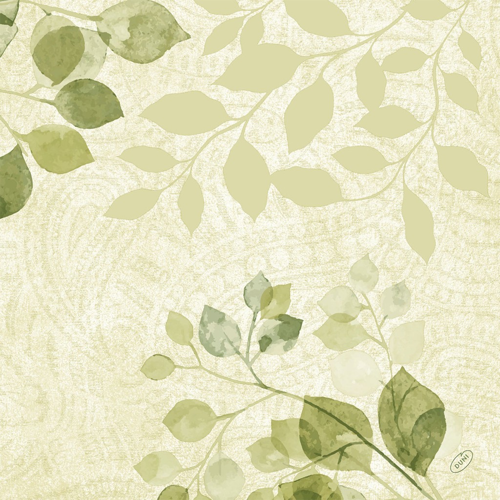 Bio Dunisoft Paisley 40x40cm 1/4 Falzung