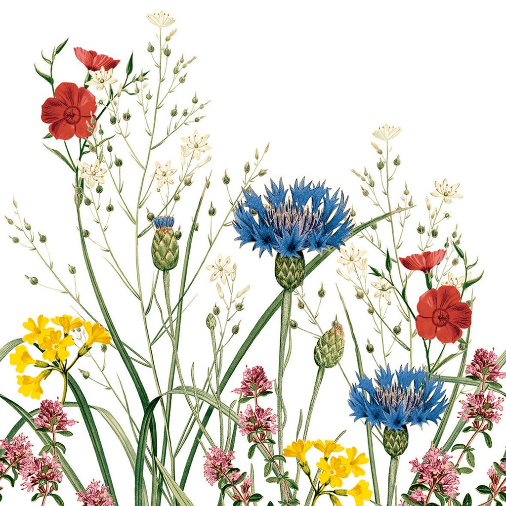 Linclass Serviette Edith 40 x 40 cm 1/4 Falz