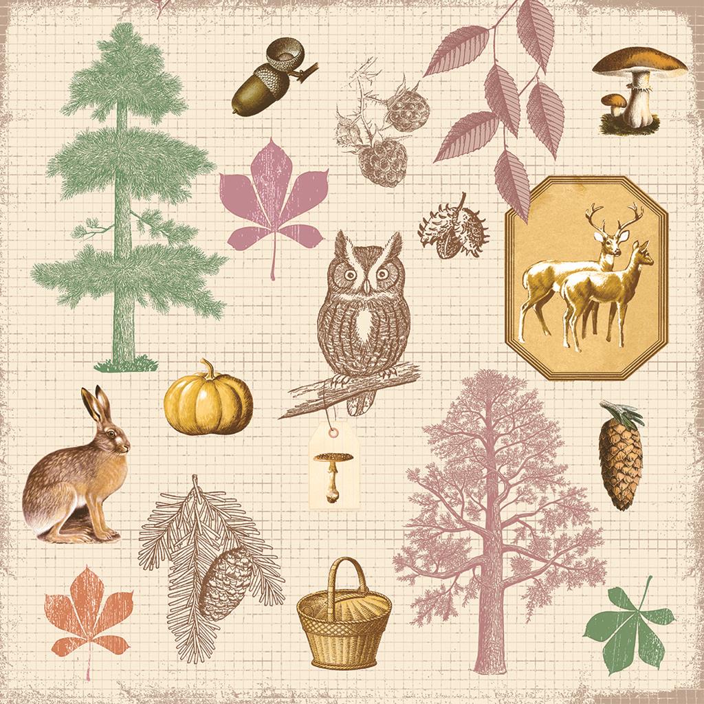 Linclass Serviette Aram 40 x 40 cm 1/4 Falz