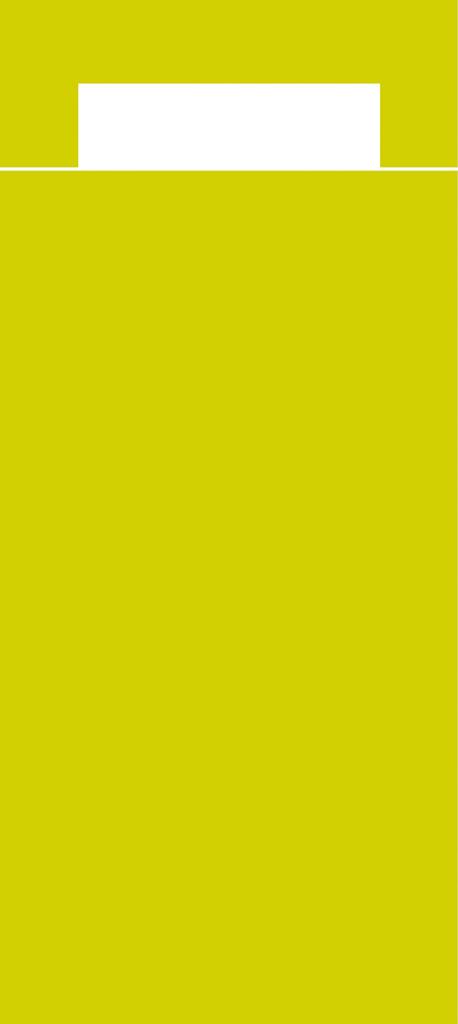 Papier + Tissue Bestecktasche Basic 202 x 85 mm, lime