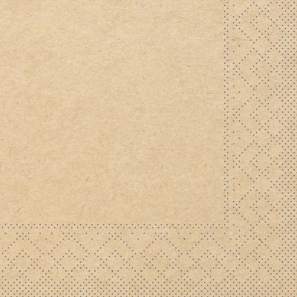 Tissue Serviette Basic recycled braun 24 x 24 cm 1/4 Falz 3-lg.
