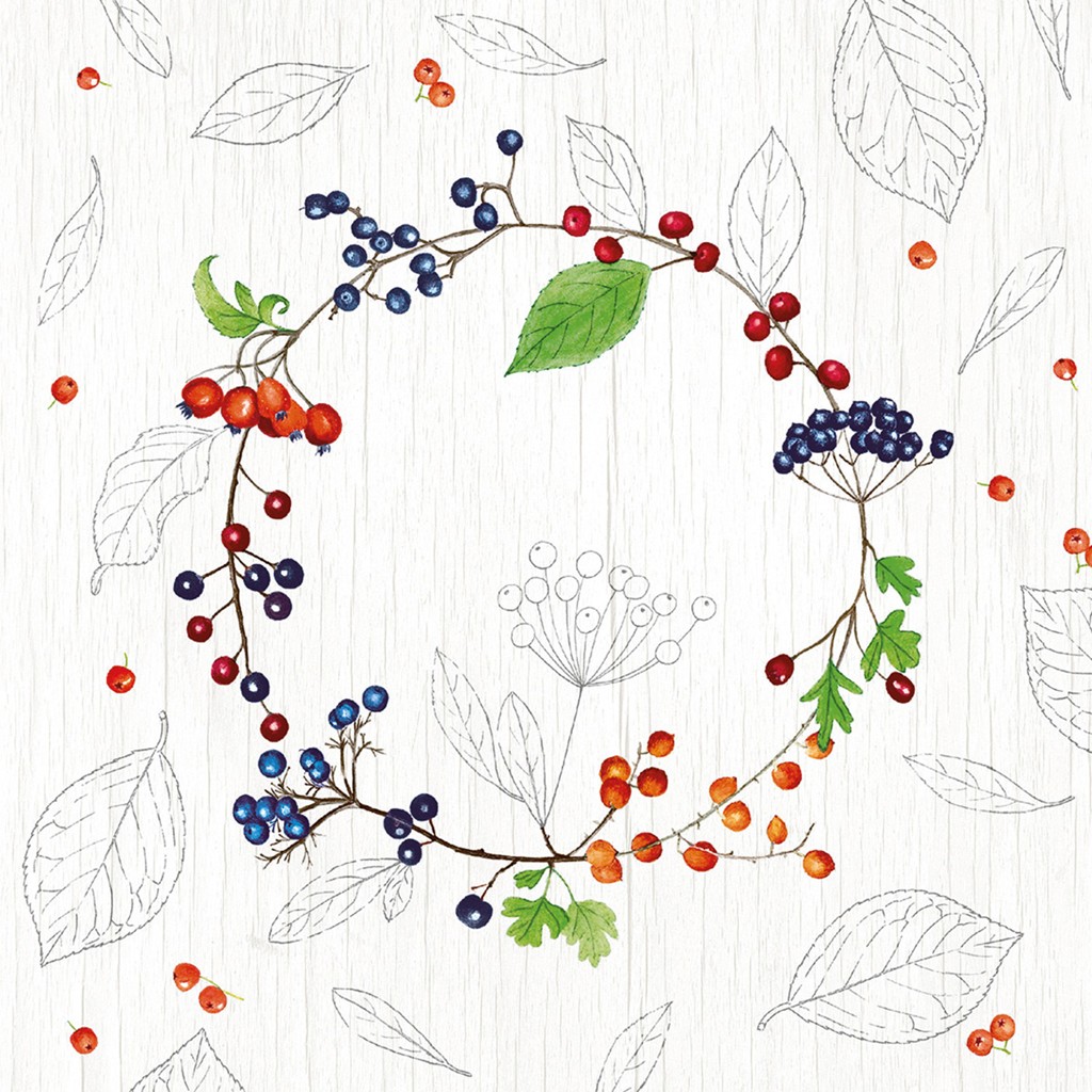 Linclass Serviette Brenda 40 x 40 cm 1/4 Falz