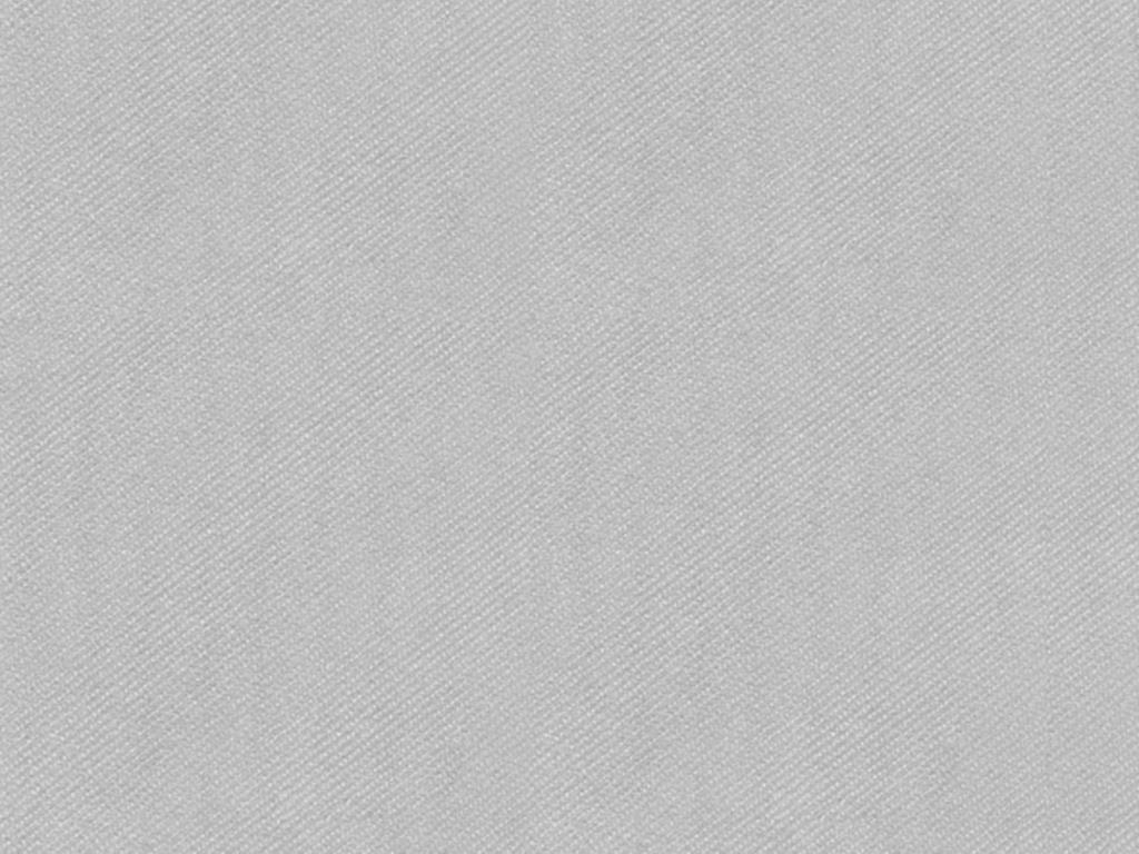 Linclass Tischsets  Basic silber 40 x 30 cm