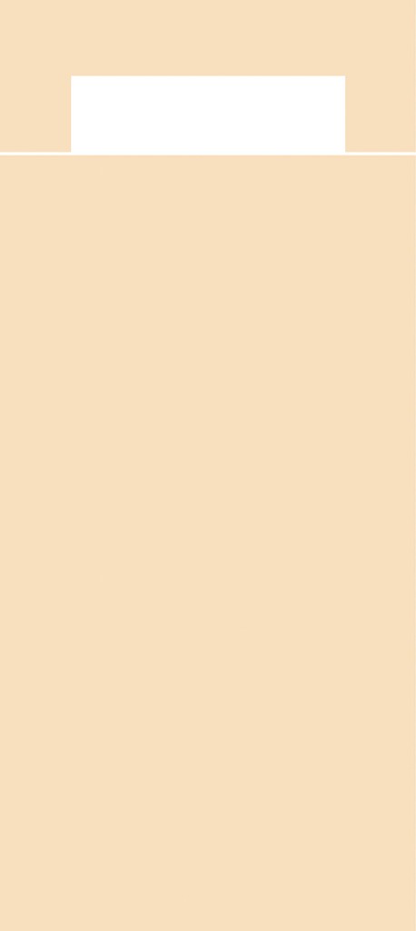 Papier + Tissue Bestecktasche  Basic cre 202 x 85 mm