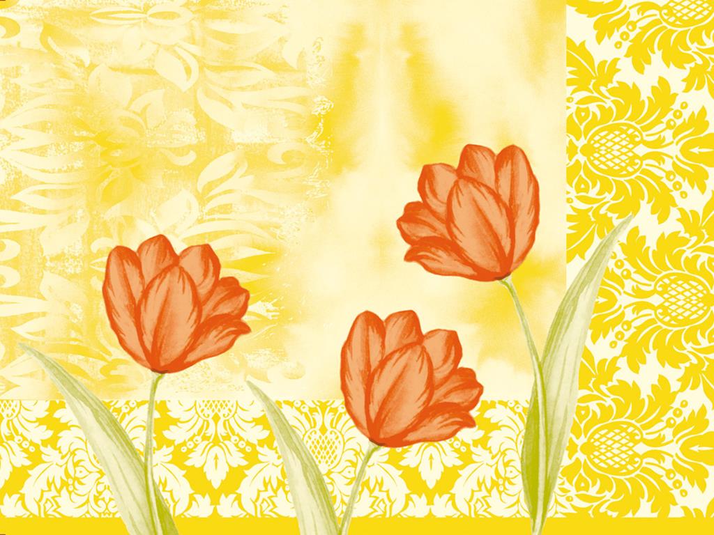 Linclass-Premium Tischsets  Sally 40 x 30 cm