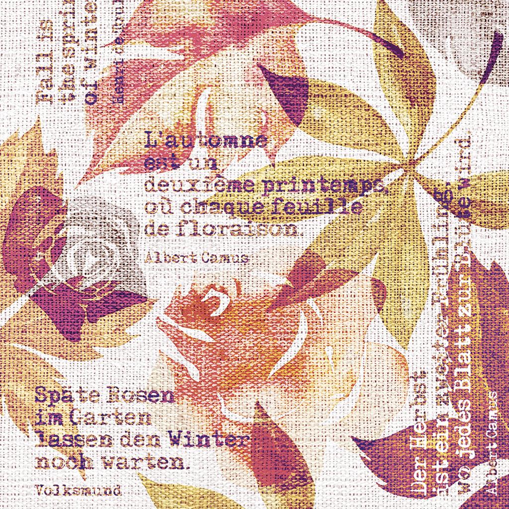 Linclass Serviette Gunnar 40 x 40 cm 1/4 Falz