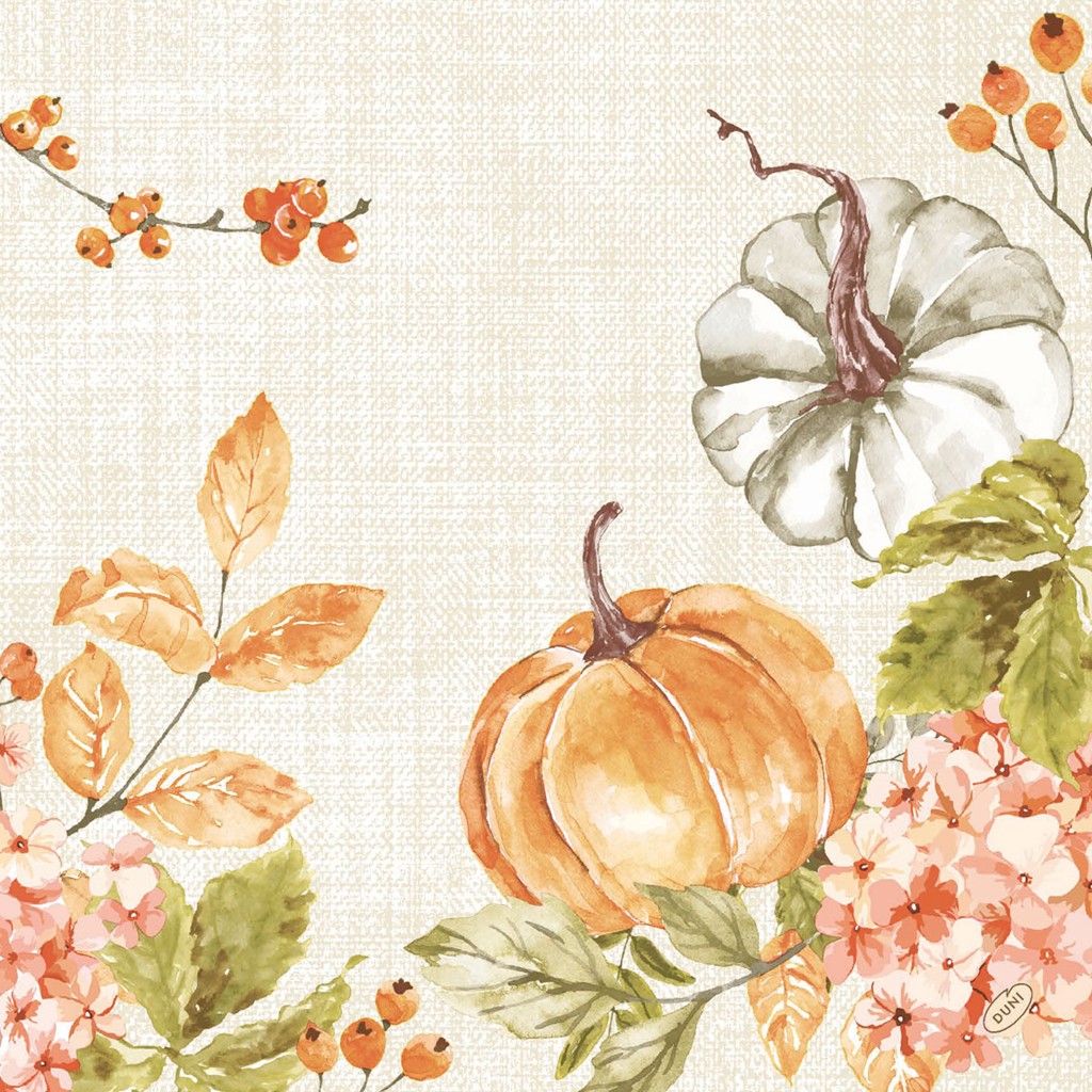 Bio Dunisoft Spicy Pumpkin 40x40cm 1/4 Falzung